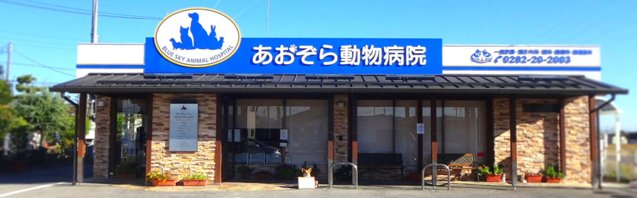 あおぞら動物病院