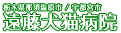 遠藤犬猫病院