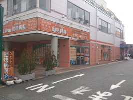ペットビレッジ動物病院