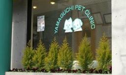 やまぐちペットクリニック