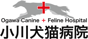小川犬猫病院