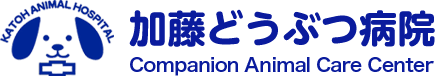 加藤どうぶつ病院