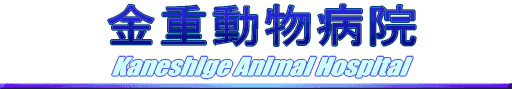 金重動物病院
