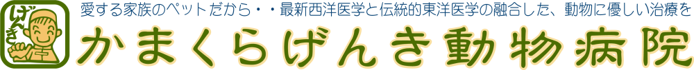 かまくらげんき動物病院
