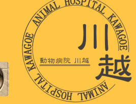 川越動物病院