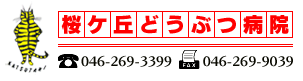 桜ヶ丘動物病院