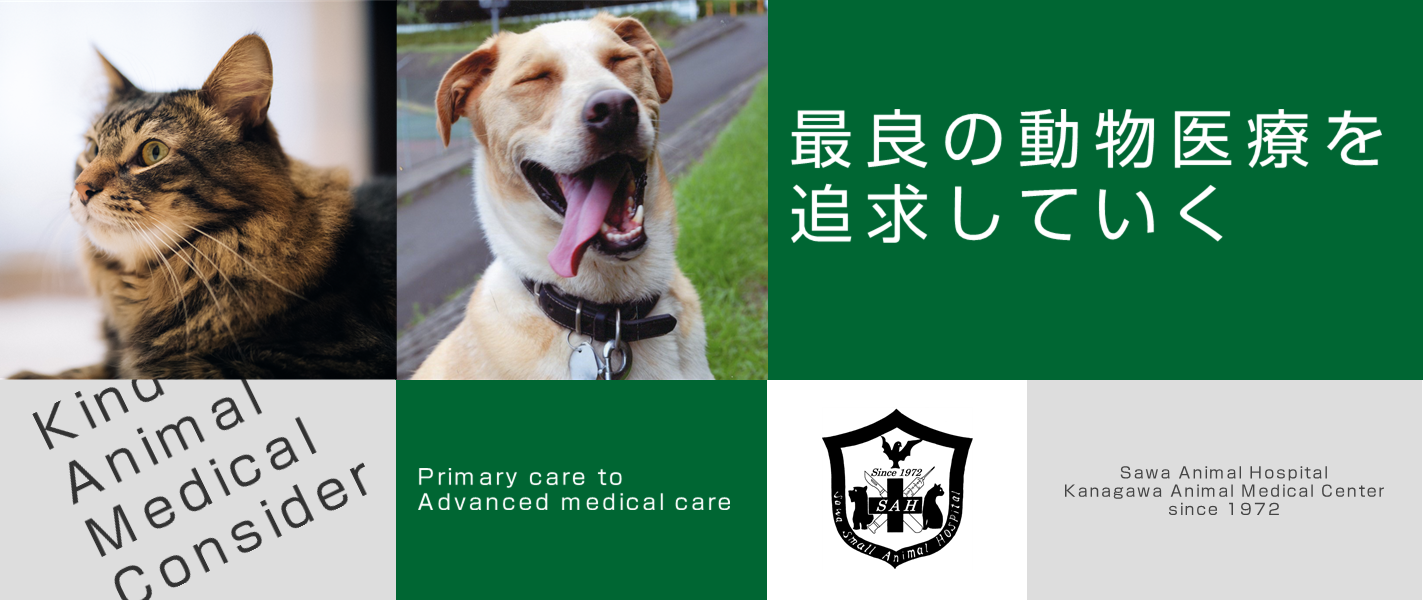 澤動物病院 神奈川動物医療センター