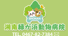 湘南緑が浜動物病院
