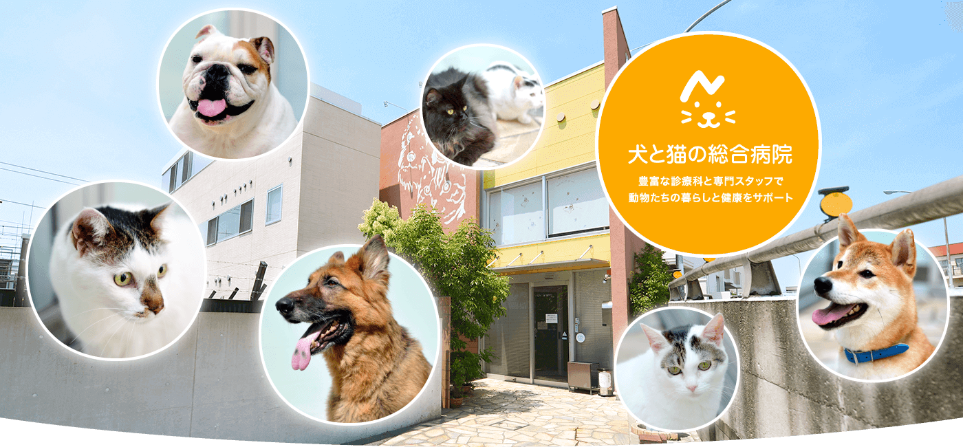 ぬのかわ犬猫病院