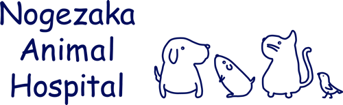 野毛坂どうぶつ病院