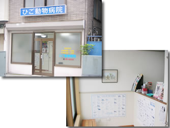 ひご動物病院