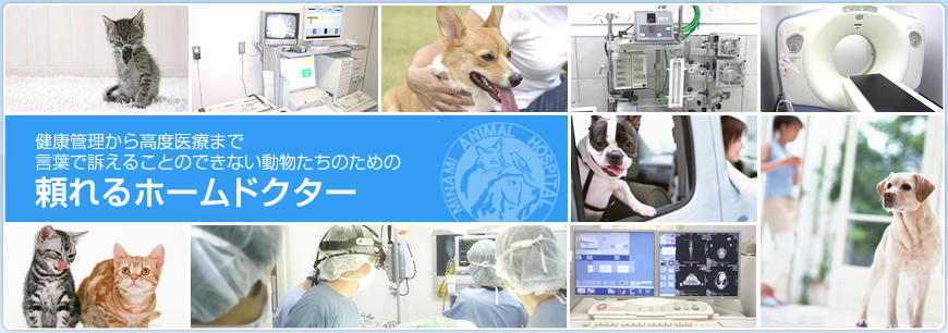 ベイサイドアニマルクリニック