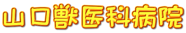 山口獣医科病院