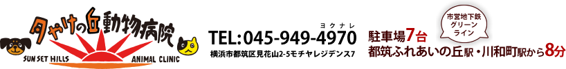 夕やけの丘動物病院