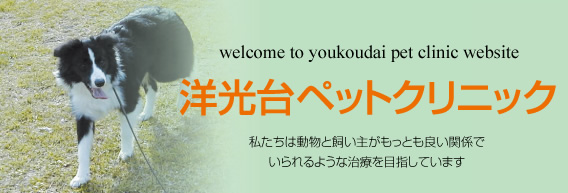 洋光台ペットクリニック