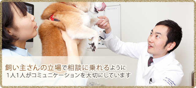 レオ動物病院