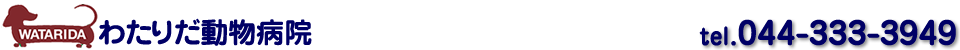 わたりだ動物病院