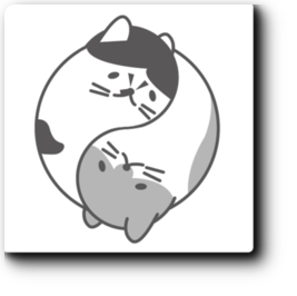 Corn-lily Animal Holistic Clinic