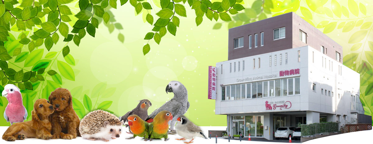 Grow-Wing Animal Hospital