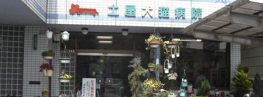 土屋犬猫病院