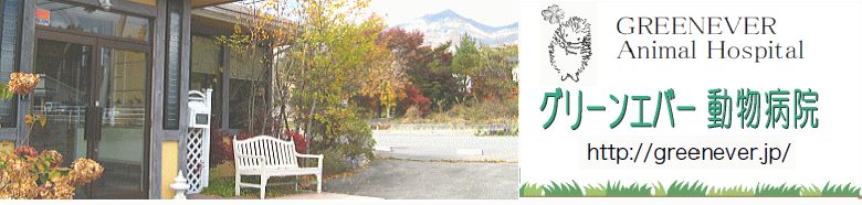 グリーンエバー動物病院