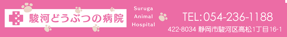 駿河どうぶつの病院