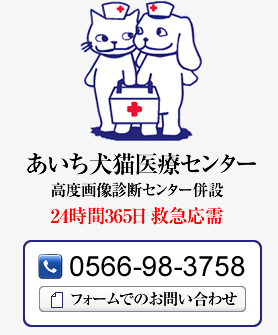 あいち犬猫医療センター