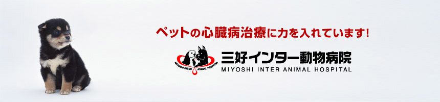 三好インター動物病院
