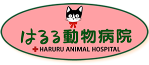 はるる動物病院