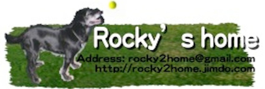 犬の介護士　Rocky's home