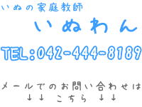 いぬわん・犬の家庭教師