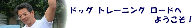 ドッグトレーニング　ロード