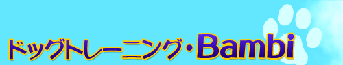 ドッグトレーニング・Banbi