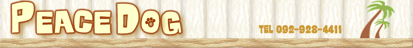 ピースドッグ by One