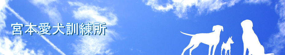 宮本愛犬訓練所