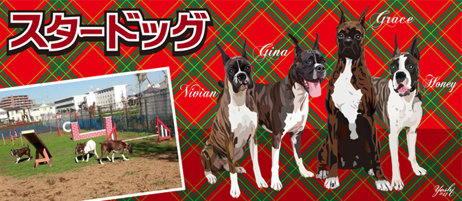 スタードッグ
