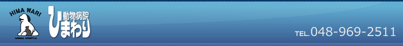 ひまわり動物病院