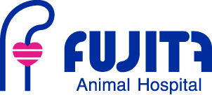 フジタ動物病院