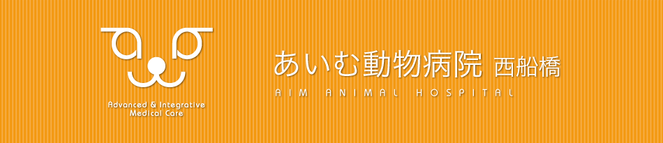 あいむ動物病院