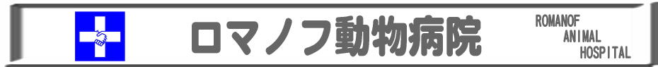 ロマノフ動物病院