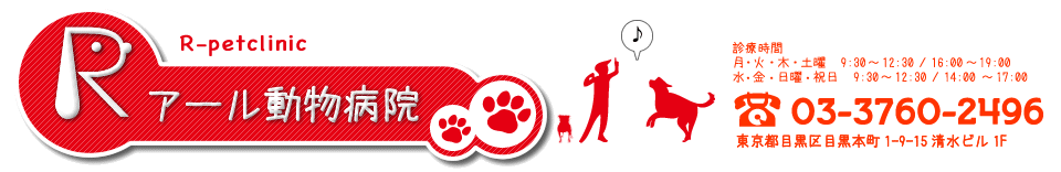アール動物病院