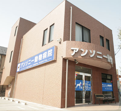 アンソニー動物病院