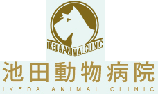 池田動物病院