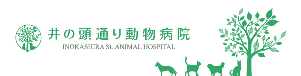 井の頭通動物病院