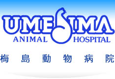 梅島動物病院