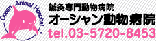 オーシャン動物病院