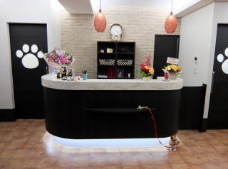 きもと動物病院