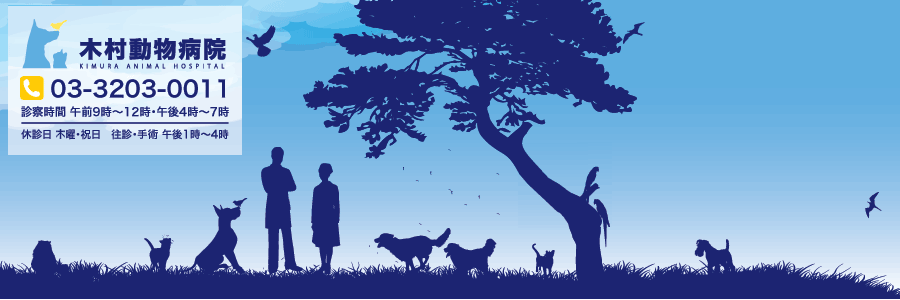 木村動物病院