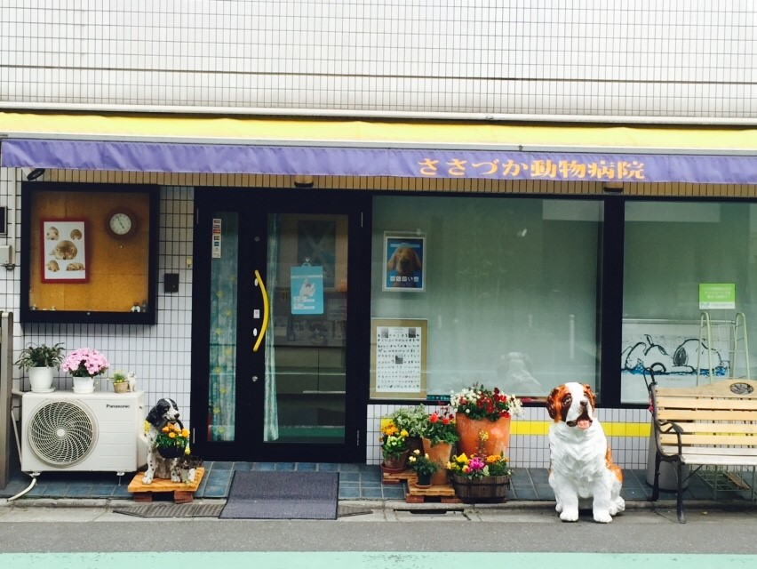 笹塚動物病院