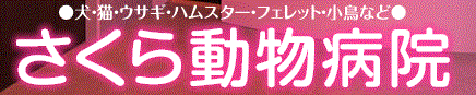 さくら動物病院